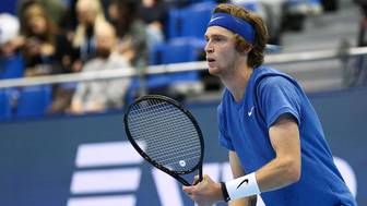 Госдума призвала изучить ситуацию с флагом России на игре Рублева в Дубае