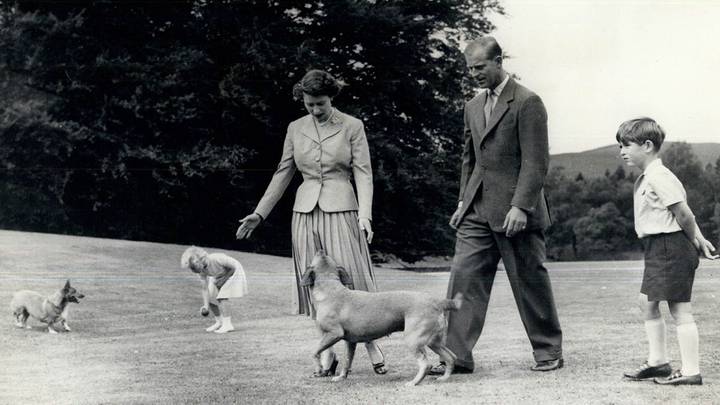Королева Великобритании Елизавета II с супругом принцем Филиппом, детьми и собаками корги в замке Балморал. 1955 год / Фото: Zuma\TASS