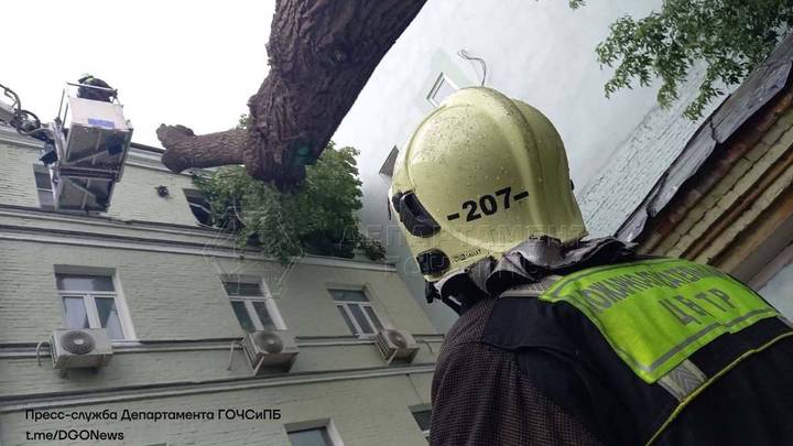 Фото: Департамент ГОЧСиПБ