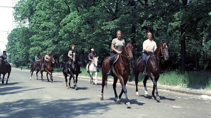 Коня оседлать да в музей сгонять