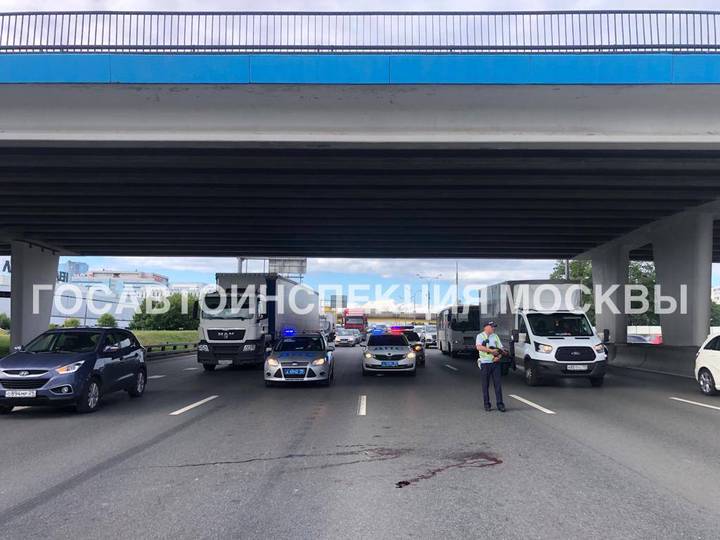 Фото: Telegram/Госавтоинспекция Москвы