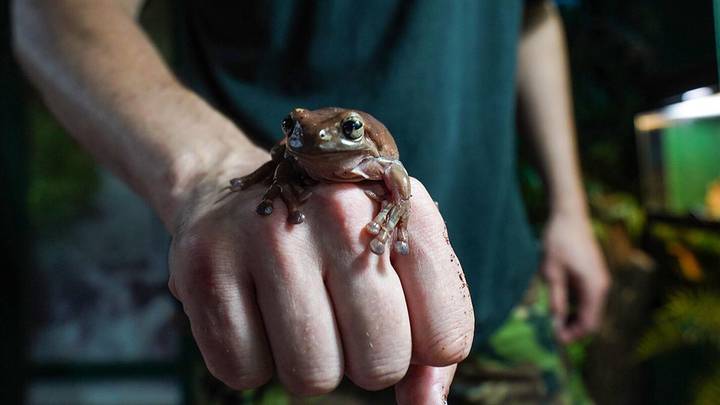 Фото: Пресс-служба мэра и правительства Москвы / Евгений Самарин