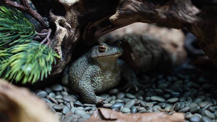 Фото: Пресс-служба мэра и правительства Москвы / Евгений Самарин