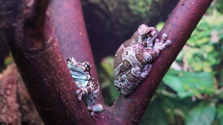 Фото: Пресс-служба мэра и правительства Москвы / Евгений Самарин