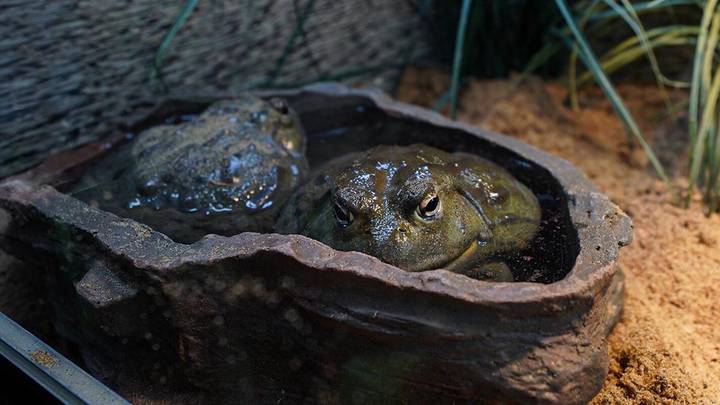 Фото: Пресс-служба мэра и правительства Москвы / Евгений Самарин