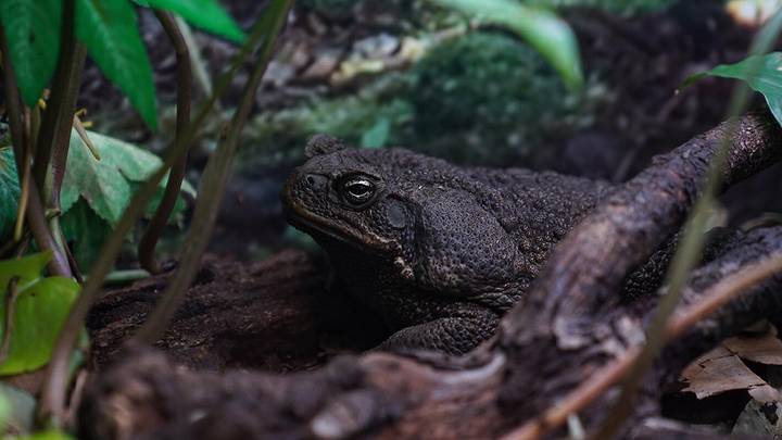 Фото: Пресс-служба мэра и правительства Москвы / Евгений Самарин