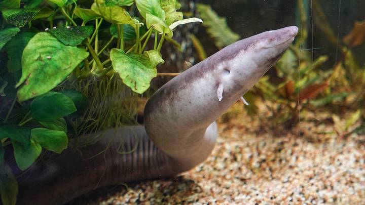 Фото: Пресс-служба мэра и правительства Москвы / Евгений Самарин
