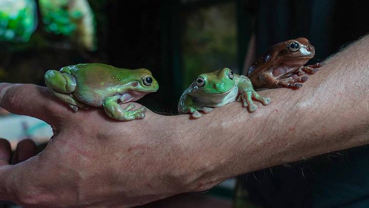 Фото: Пресс-служба мэра и правительства Москвы / Евгений Самарин