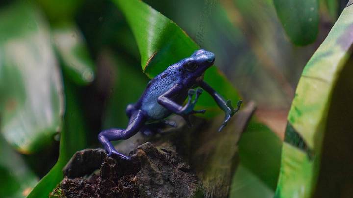 Фото: Пресс-служба мэра и правительства Москвы / Евгений Самарин