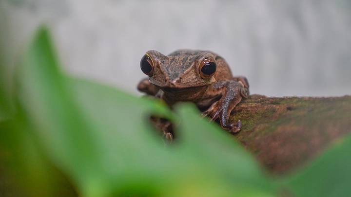 Фото: Пресс-служба мэра и правительства Москвы / Евгений Самарин