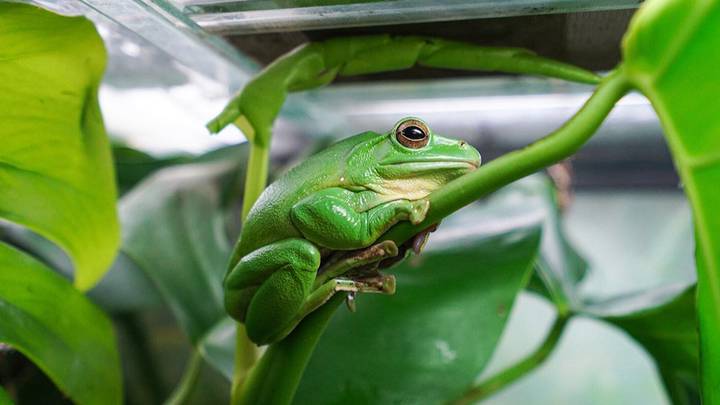 Фото: Пресс-служба мэра и правительства Москвы / Евгений Самарин