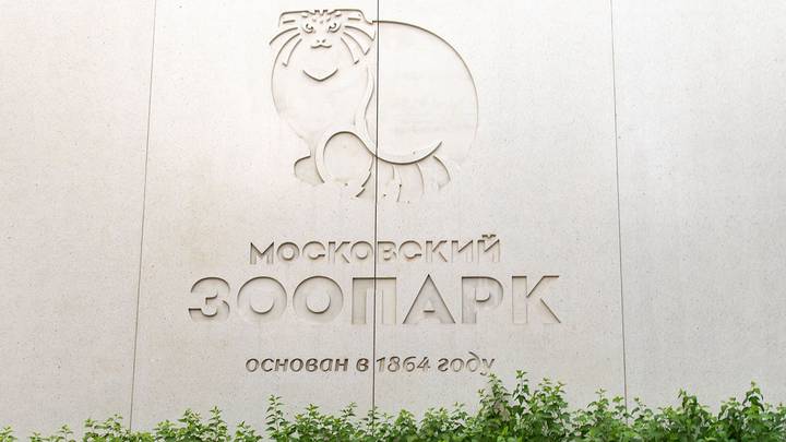 В Московском зоопарке временно закрыли второй этаж павильона «Птицы и бабочки»