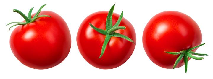 Агрохолдинг «Московский» выращивает продукцию в современных теплицах, построенных по принципу умного дома. Такие парники полностью роботизированы и автономны. Например, для каждого вида растений настроены индивидуальные программы систем освещения, вентиляции и орошения.