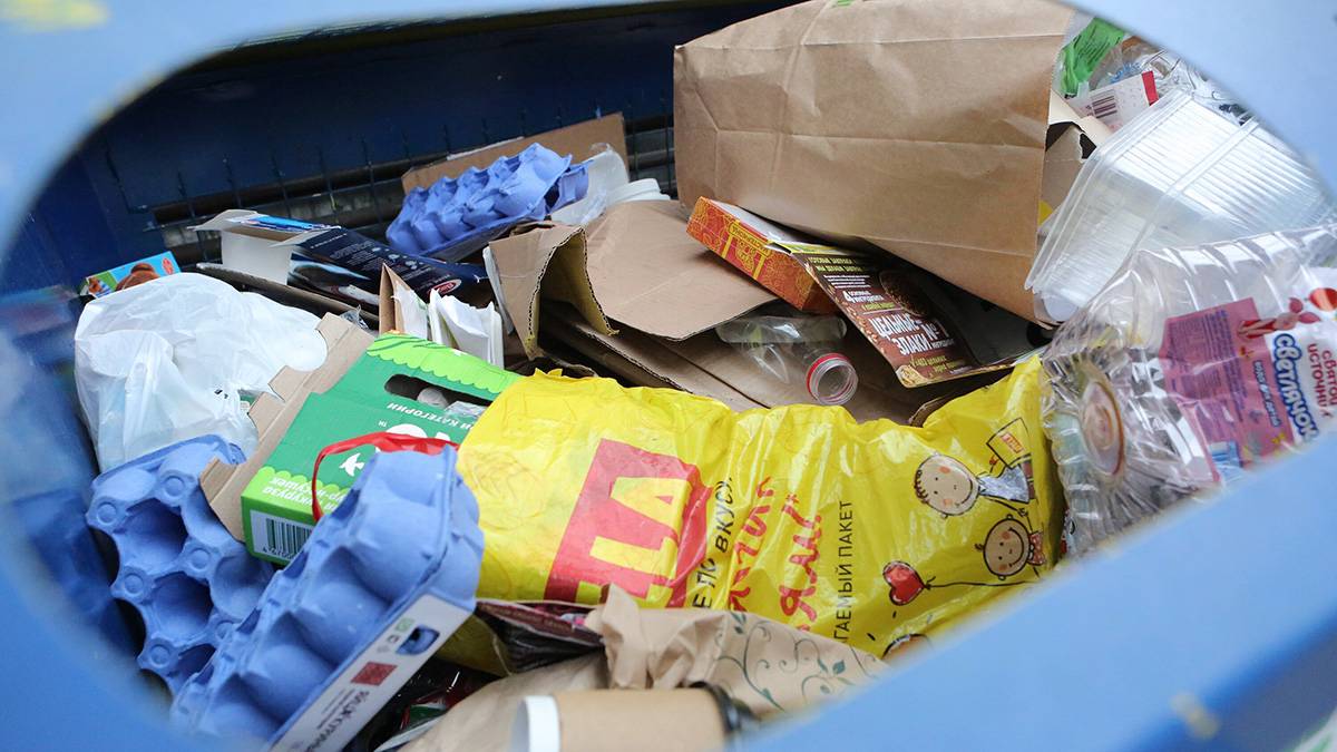 Эксперт по эпидемиологии Тихонова рассказала, почему стоит чаще выносить мусор