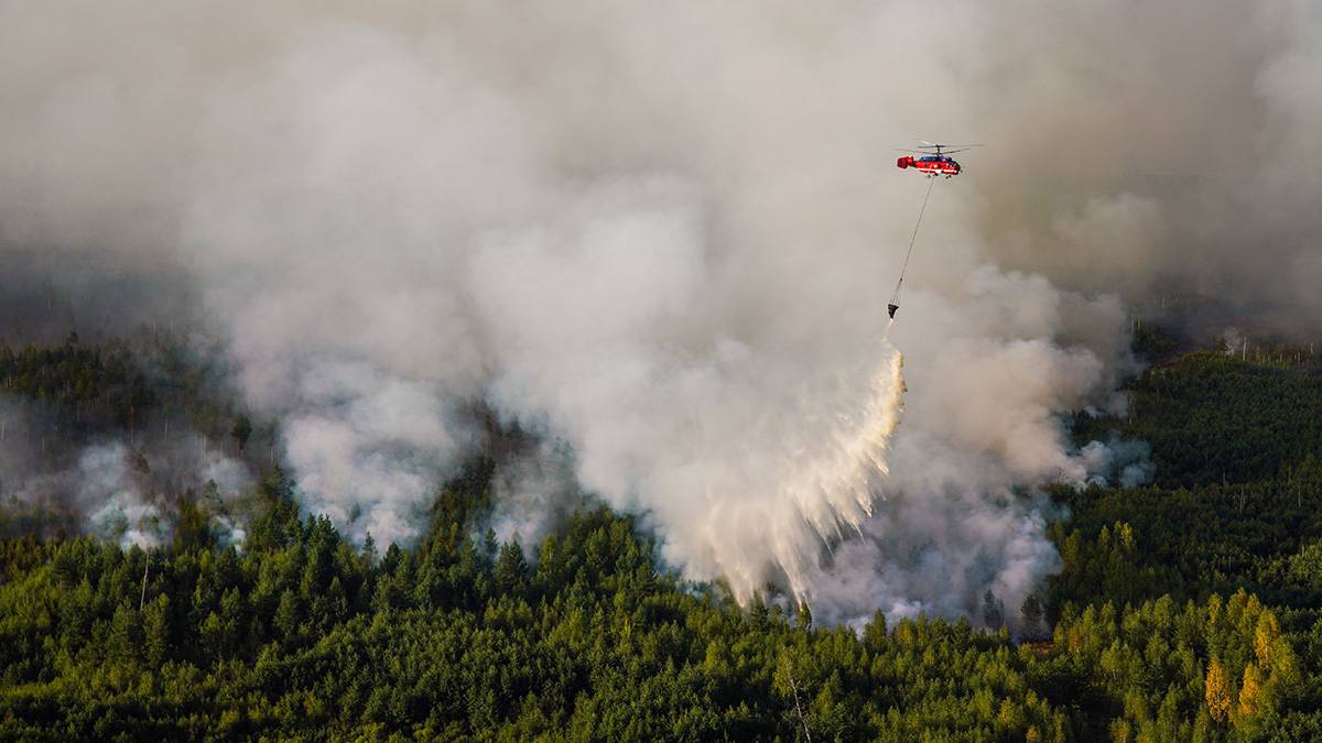 Площадь лесного пожара в Геленджике увеличилась до пяти гектаров