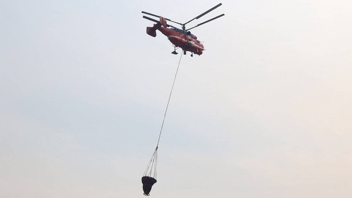 В МЧС сообщили о снятии угрозы населенным пунктам Курганской области от лесных пожаров