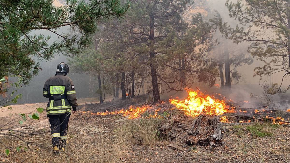 Две сотни пожаров ликвидировали в лесах Подмосковья за август