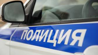 Полицейские в Петербурге задержали подростка при попытке поджечь служебные авто