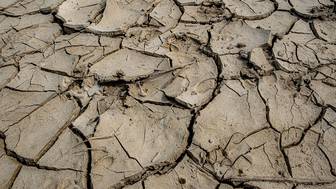 Ученые выявили новую опасность глобального потепления для здоровья людей