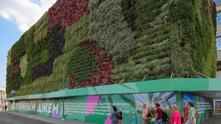 Первая в России уличная стена из растений появилась в Москве в дни «Цветочного джема»