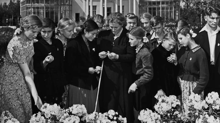 Товарищи, следите за порядком!