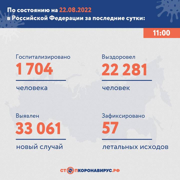 В России выявили 33 061 случай коронавируса за сутки