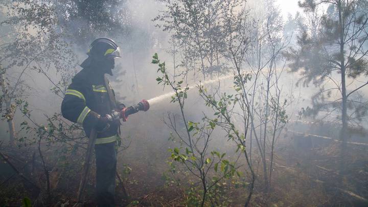 Фото: Сайт Сергея Собянина Фото: Сайт Сергея Собянина
