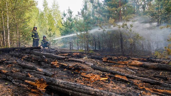 Фото: Сайт Сергея Собянина Фото: Сайт Сергея Собянина