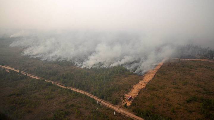 Фото: Сайт Сергея Собянина Фото: Сайт Сергея Собянина