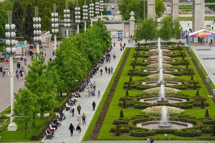 Подготовка цветников ко Дню города началась в Москве