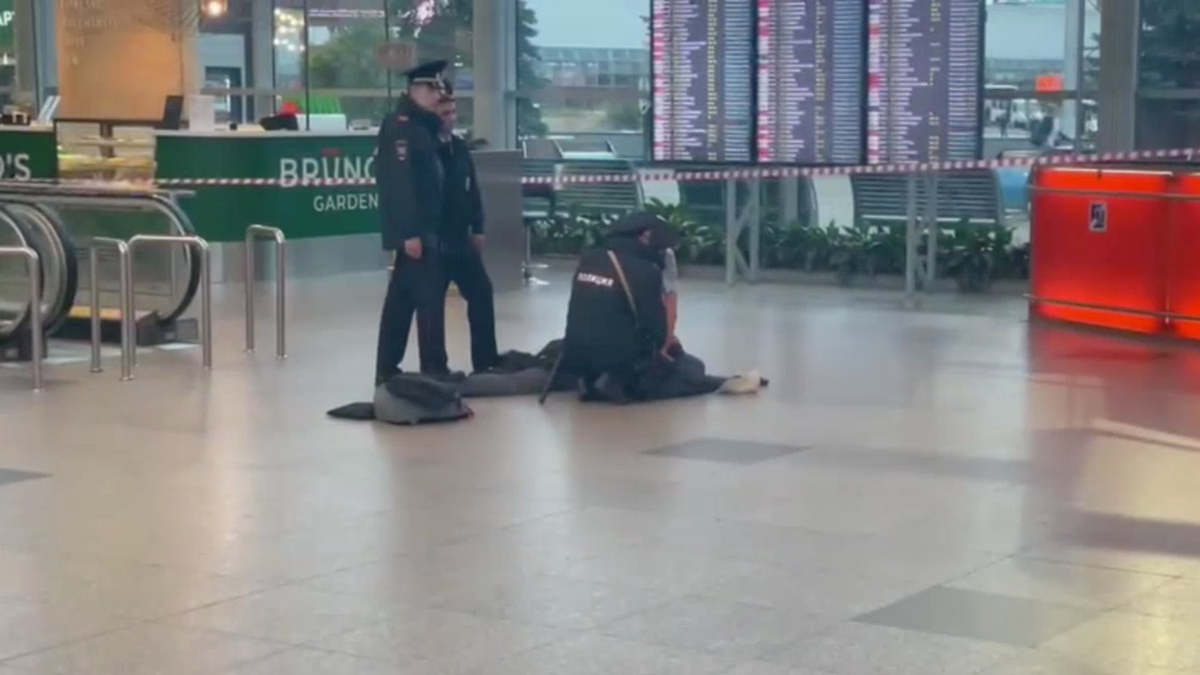 Пьяный пассажир устроил скандал и сообщил о бомбе в своем рюкзаке в аэропорту Домодедово