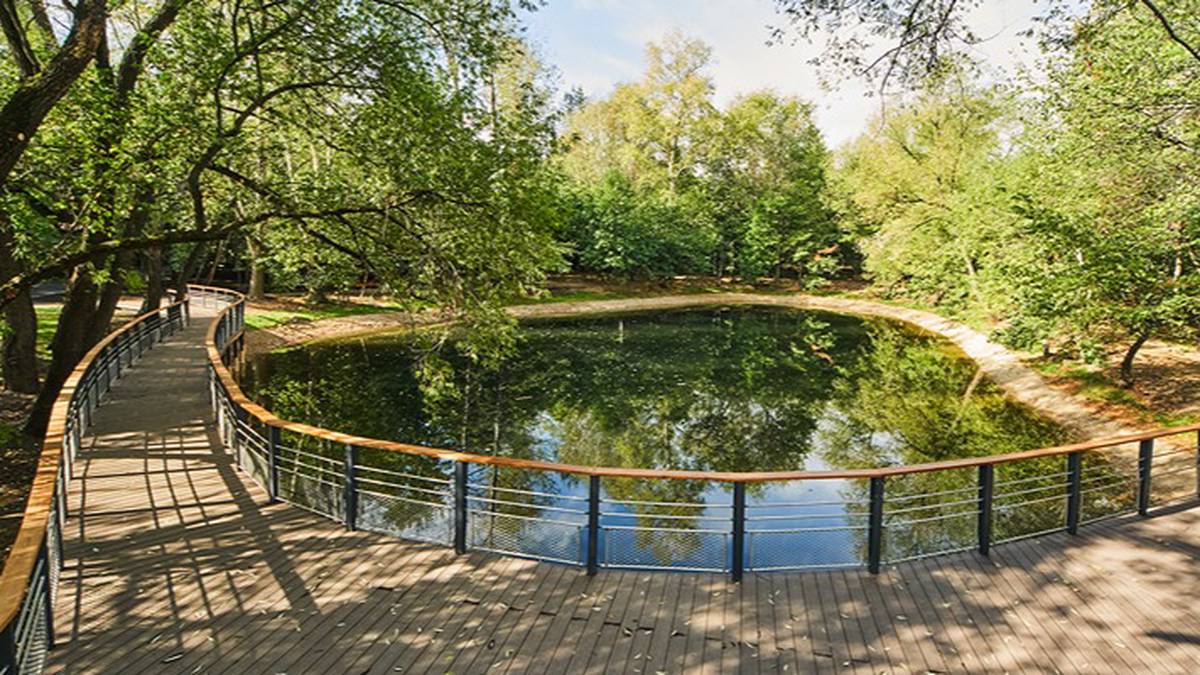 Работы по экологической реабилитации Локасинского пруда закончились в парке «Кусково»
