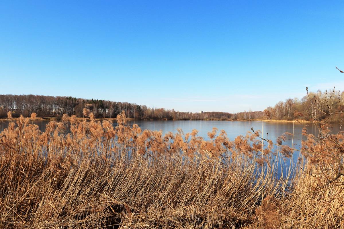 Специалисты рассказали о результатах измерения воды на Косинских озерах