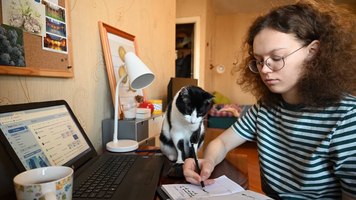 Человеку с кошкой нужна однушка: как быстро снять жилье владельцам домашних животных