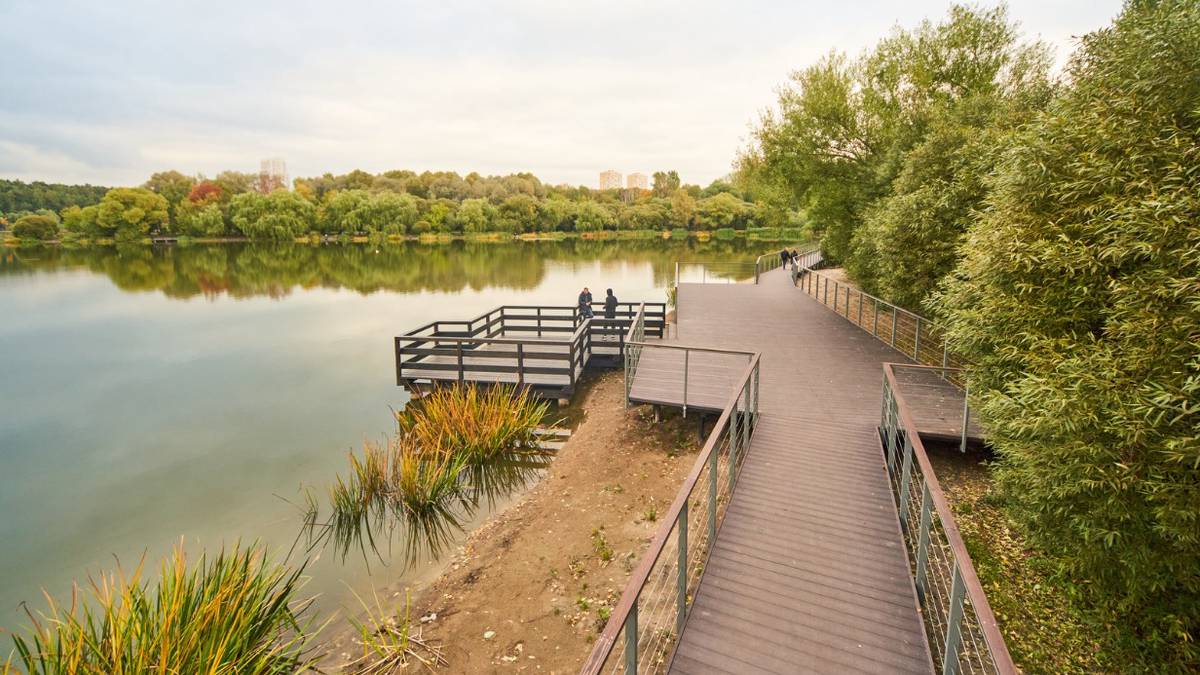Новые смотровые площадки и набережные создали у прудов в парке «Покровское-Стрешнево»