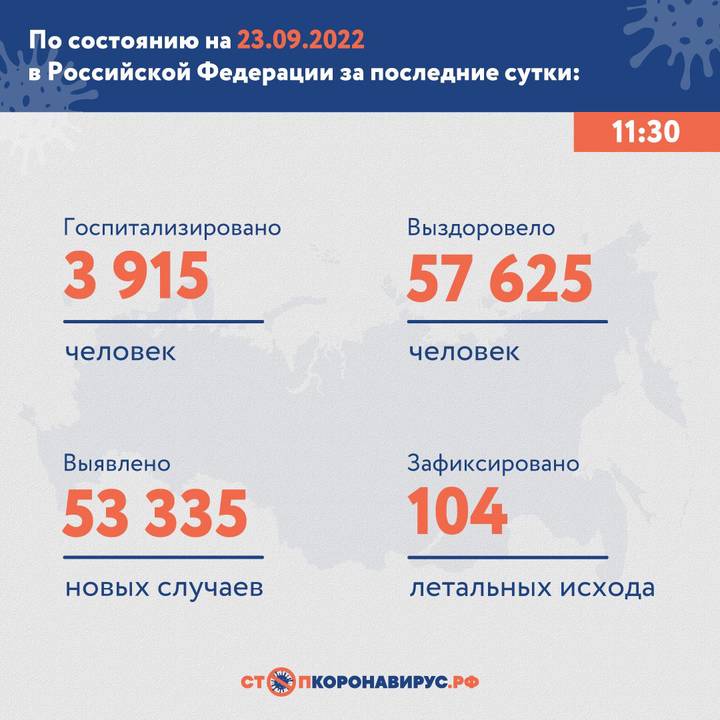 В России выявили 53 335 новых случаев коронавируса