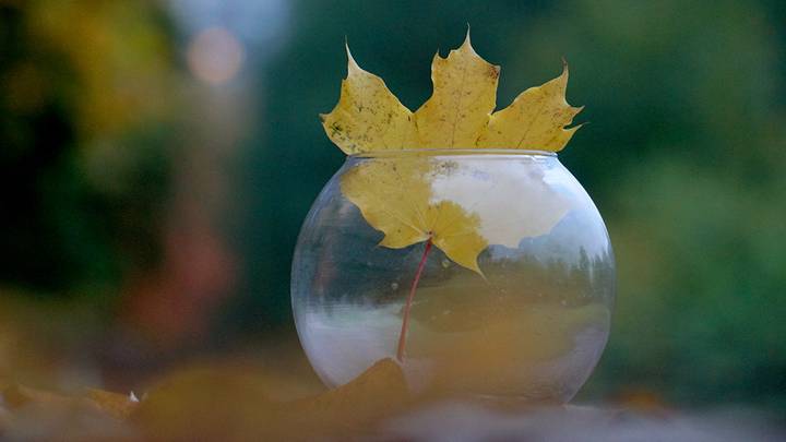 Октябрь нас порадует