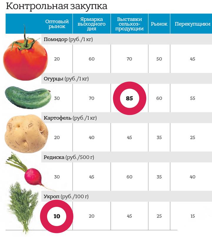 Заработай на урожае: где дачникам продать свои овощи и фрукты