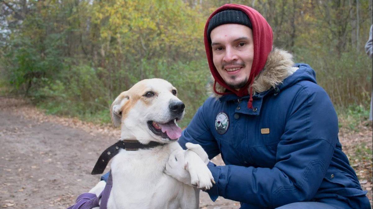 Библиотеки помогают бездомным животным