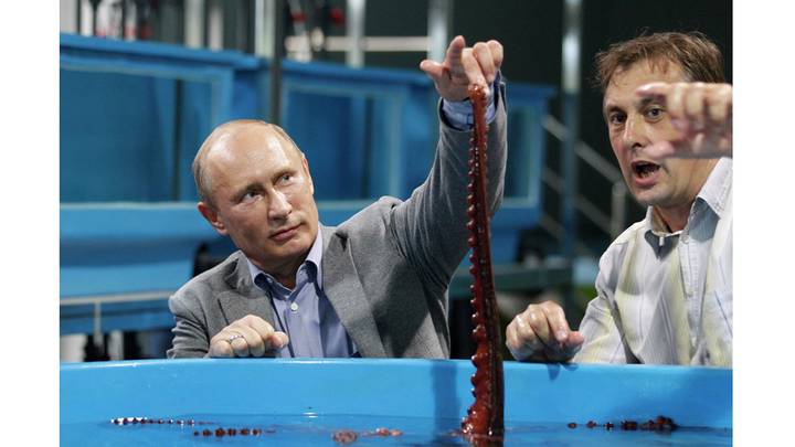 Во время посещения океанариума на острове Русский во Владивостоке, 2012 год / Фото: РИА Новости Во время посещения океанариума на острове Русский во Владивостоке, 2012 год / Фото: РИА Новости