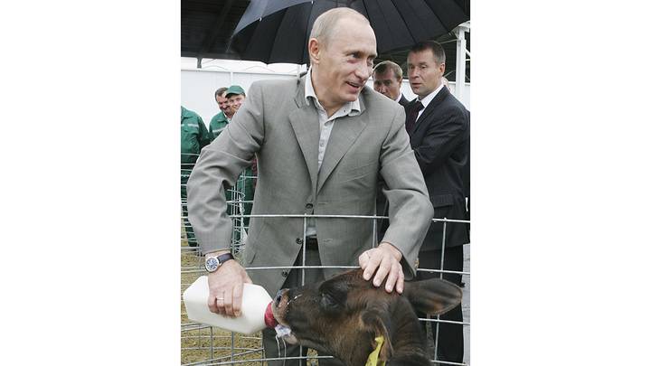 Владимир Путин во время посещения комплекса «Белгородские молочные фермы» в Белгородской области, 2007 год / Фото: ИТАР-ТАСС / Владимир Родионов Владимир Путин во время посещения комплекса «Белгородские молочные фермы» в Белгородской области, 2007 год / Фото: ИТАР-ТАСС / Владимир Родионов