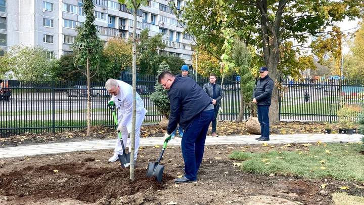 Территорию скоропомощного стационарного комплекса ГКБ им. В. В. Вересаева начали благоустраивать