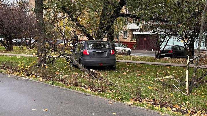 Фото: Госавтоинспекция Москвы