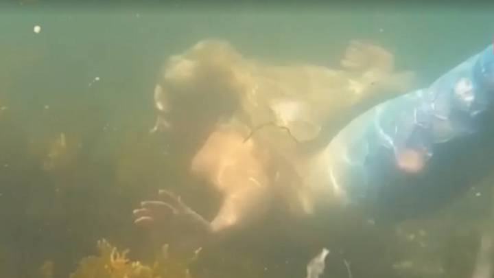 Жительница Британии поплавала в образе русалки в море и покорила соцсети