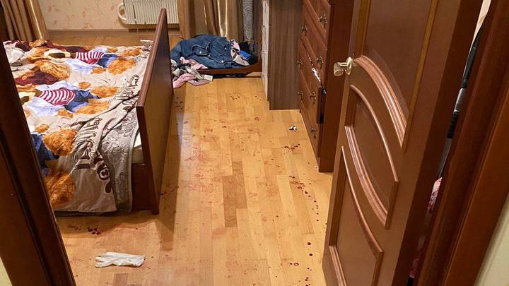 Собака с непростой судьбой: что известно о нападении кане-корсо на женщину и ребенка