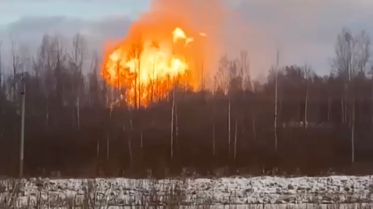 МЧС назвало причину пожара на газозаправочной станции в Ленинградской области