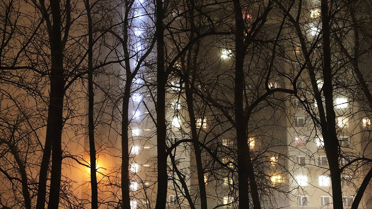«Желтый» уровень опасности из-за тумана объявлен в Москве в ночь на 26 марта