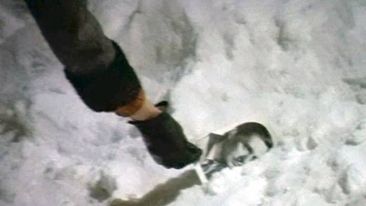 Дома у героини «Иронии судьбы» Нади стоит фото Ипполита в исполнении Яковлева, а из окна упал портрет Басилашвили