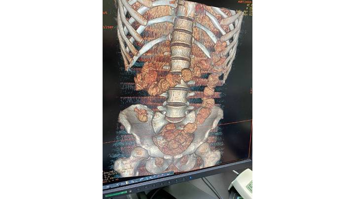 Фото: пресс-служба Северо-Западного таможенного управления Фото: пресс-служба Северо-Западного таможенного управления