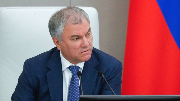 «Попадают в однополые пары»: Володин анонсировал запрет на суррогатное материнство для иностранцев